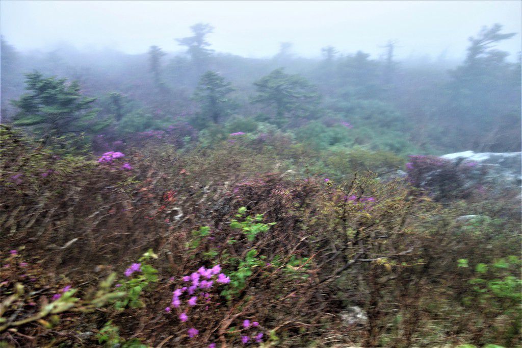 설약산 이미지