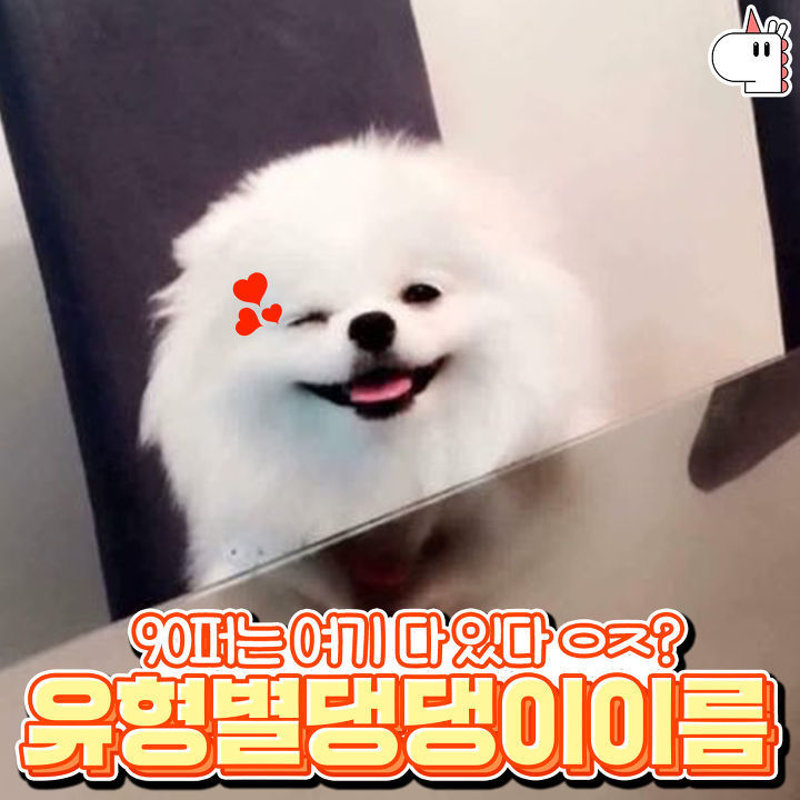 우리집 댕댕이는 곡물형! 유형별로 보는 강아지 이름♥ | 인스티즈