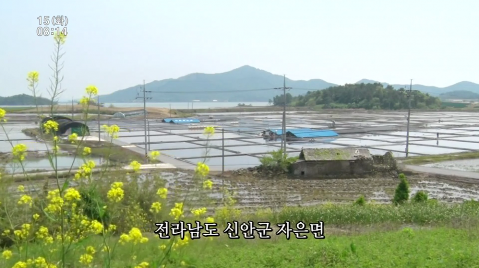 인간극장 신안군 염전편 | 인스티즈