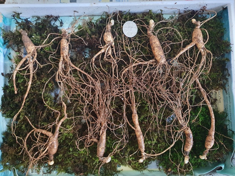 산양농업협동조합 이미지