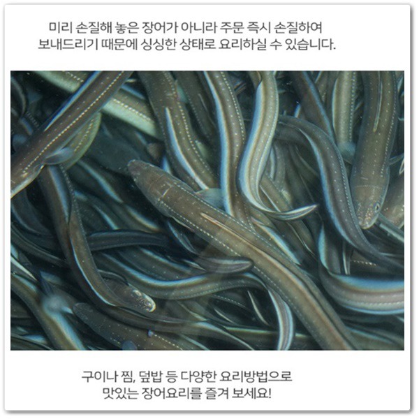 해주수산 이미지