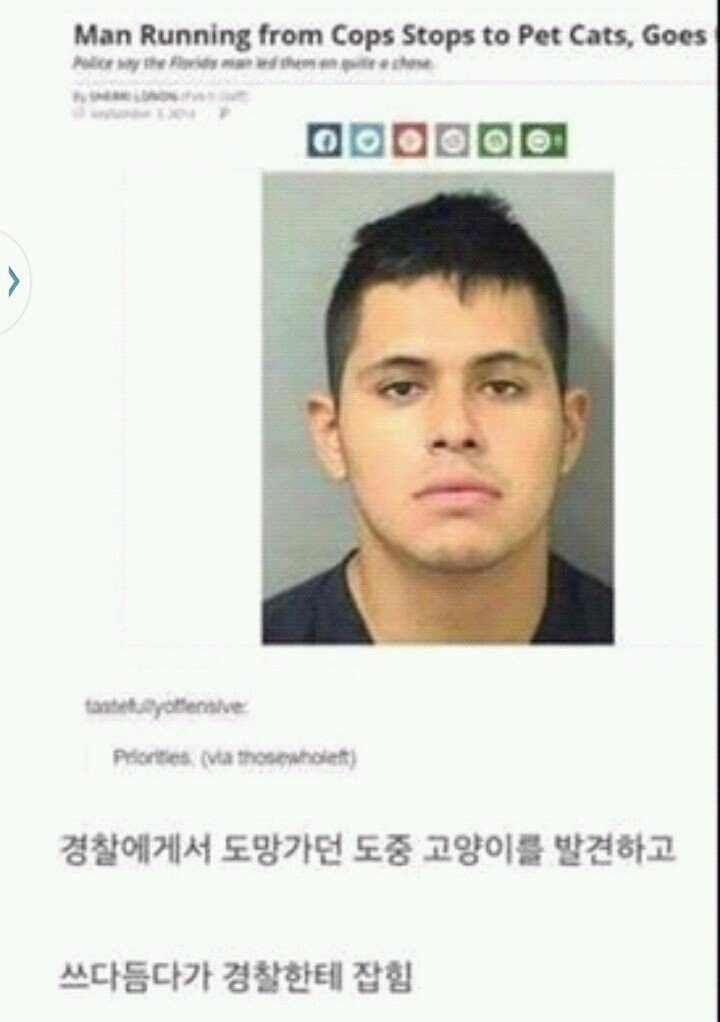 고양이가 잡은? 범죄자 | 인스티즈