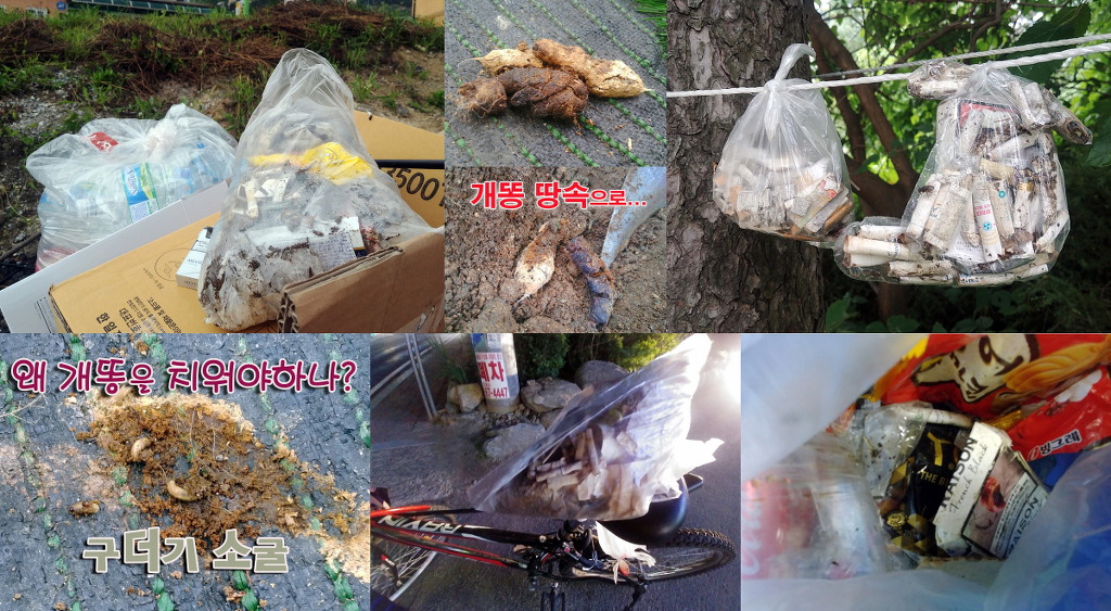 당두슈퍼 이미지