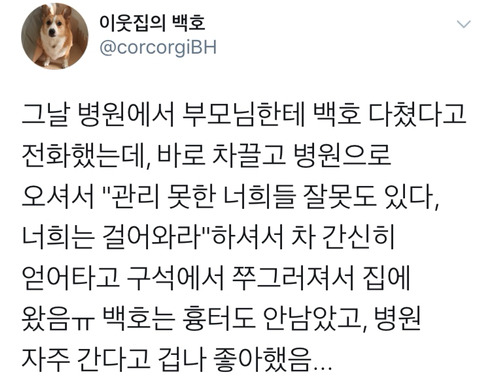 댕댕이의 고정픽은 동물병원 원장님 | 인스티즈