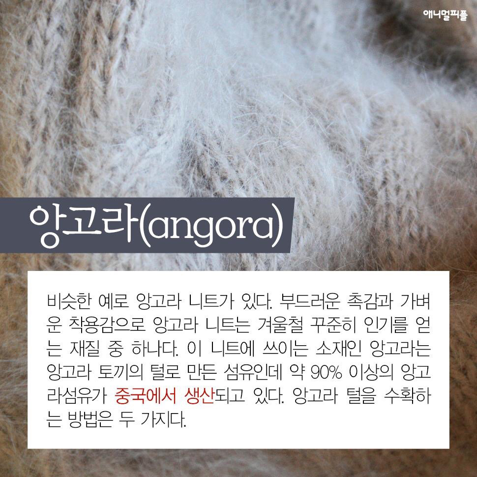 ??? : 아니 ㅅㅂ 말 못하는 강아지를 왜 때려...무슨 죄가 있다고... | 인스티즈