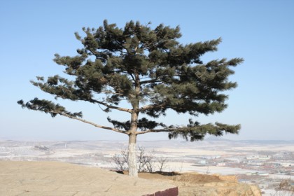 일송정 이미지
