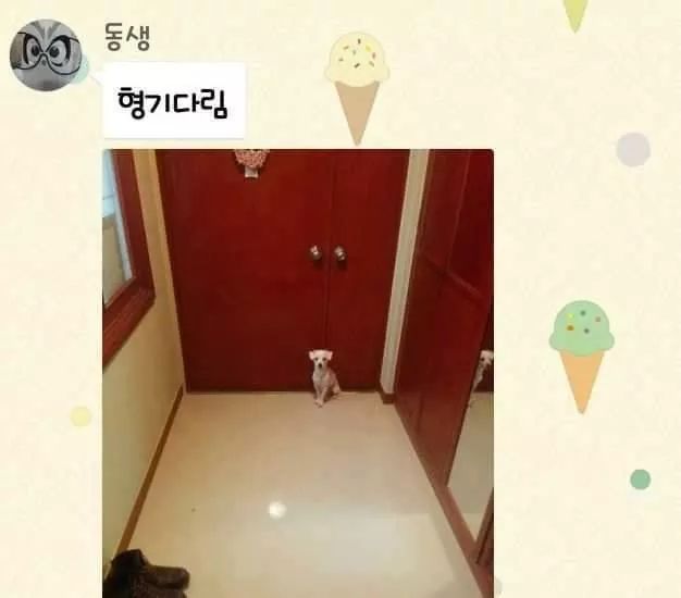 외출한 가족 집에 빨리 돌아오게 하는 방법.jpg | 인스티즈