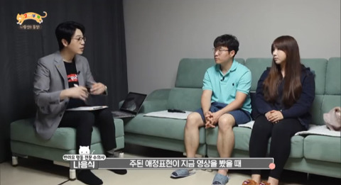 고양이가 아니라 인형을 키우는듯한 집 .jpg | 인스티즈
