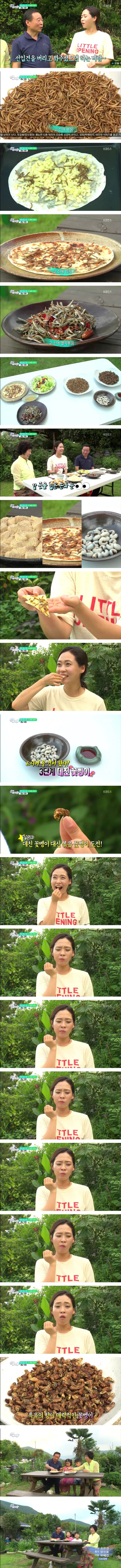 벌래주의) 6시 내고향 리포터 인생최대의 위기...jpg | 인스티즈