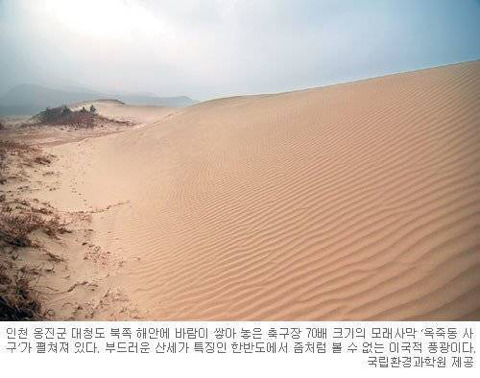의외의 한국풍경 | 인스티즈