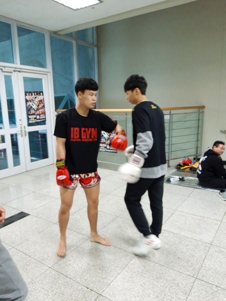 미르메라 이미지