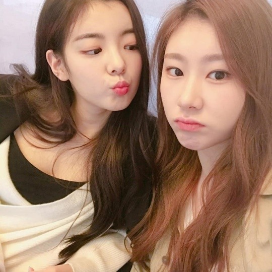 리아 이미지