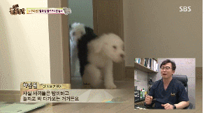 왜 현질을 해야하는가? | 인스티즈