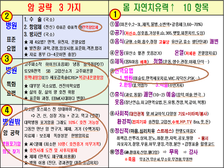 참조자연치유 이미지