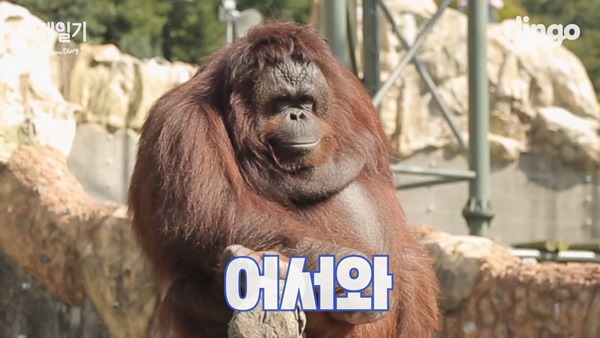 오랑우탄 만난 최유정ㅋㅋ.jpgif | 인스티즈