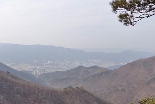 옥산초등학교 이미지