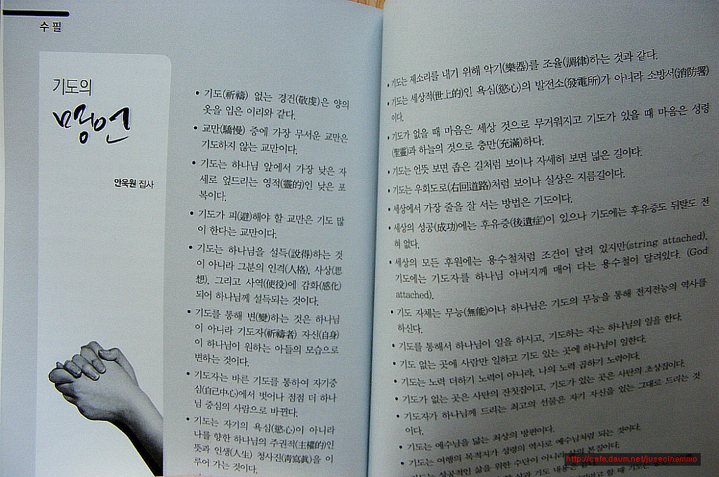 물댄동산 이미지