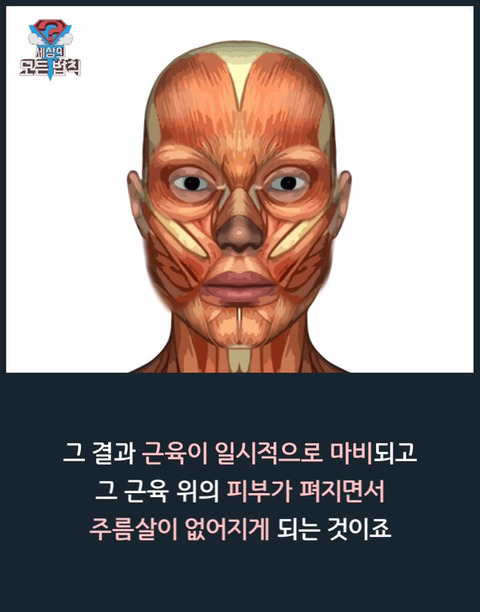 보톡스의 비밀.jpg | 인스티즈