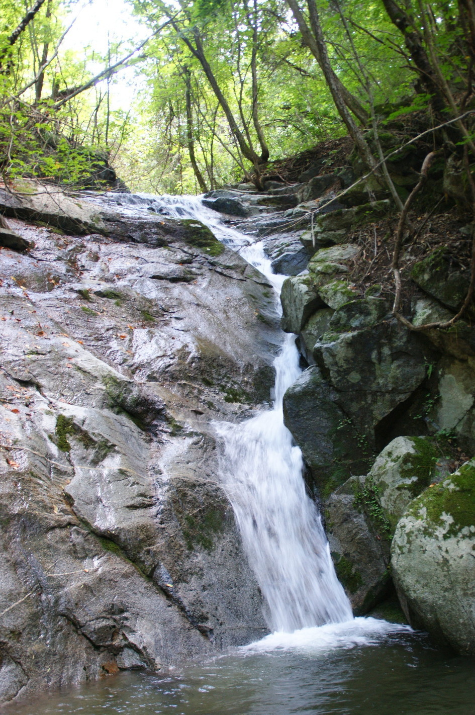 산그린 이미지
