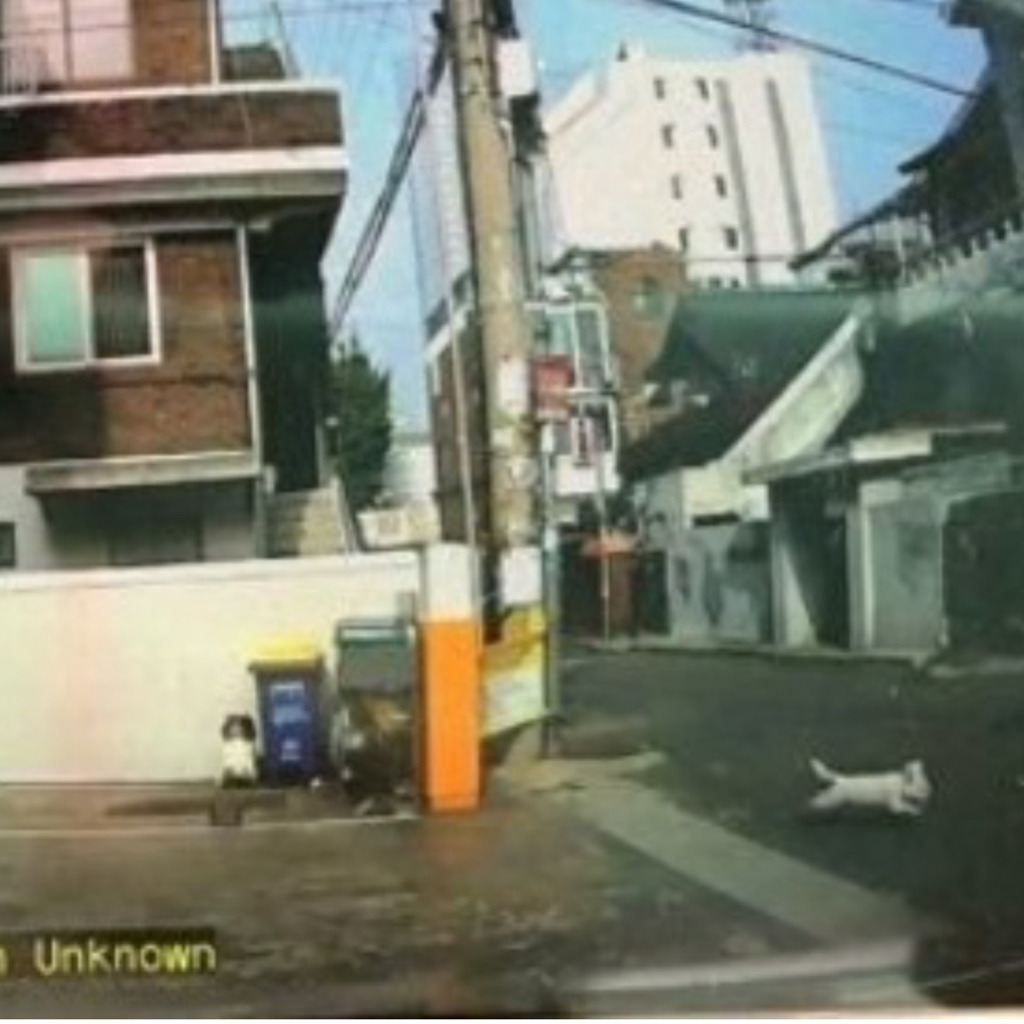 분리수거장에 강아지 유기하는 인면수심.jpg | 인스티즈