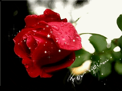 당신의 재치에 감탄하며 놓고가는 움짤 모음.gif | 인스티즈