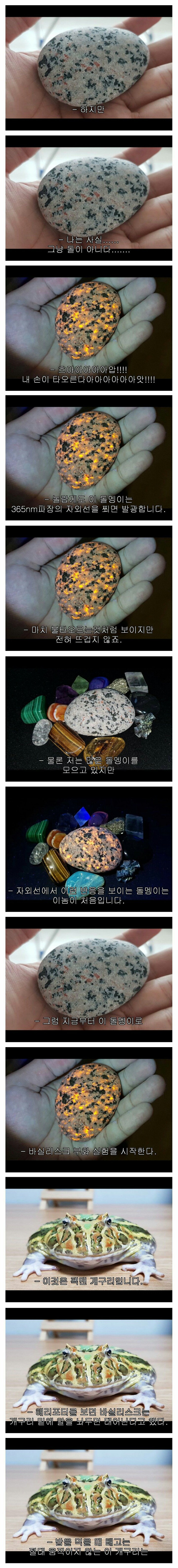 돌멩이를 샀는데 마법사의 돌이었다 | 인스티즈
