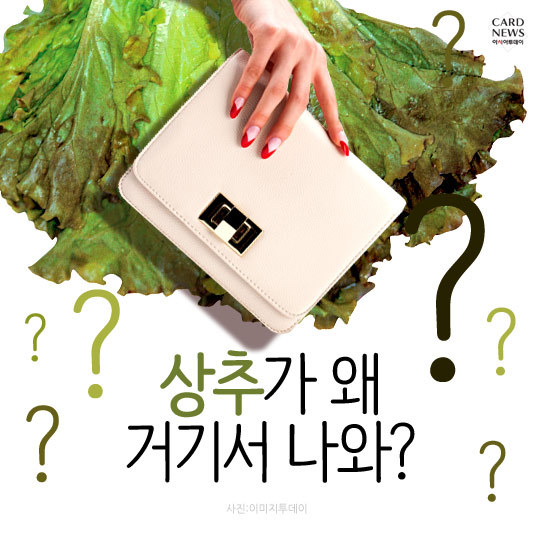 아직도 자주쓰이는 무도 유행어 아웃풋 원탑.jpg | 인스티즈