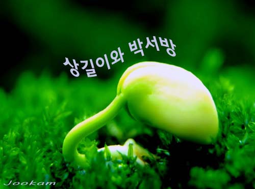 상길 이미지