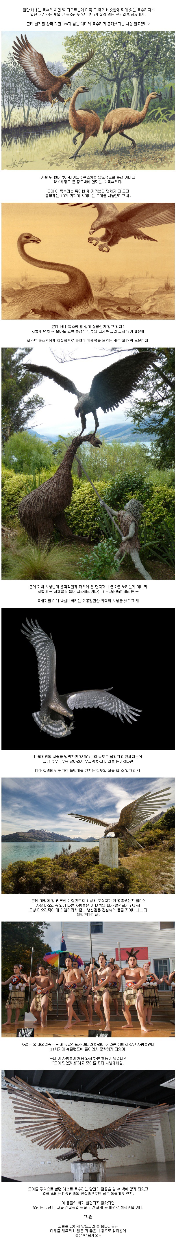 멸종한 하스트 독수리 | 인스티즈