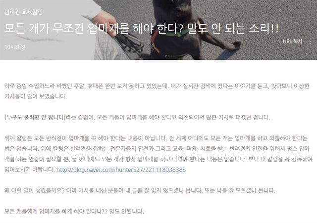 강형욱 "모든 개가 무조건 입마개? 말도 안 된다" | 인스티즈