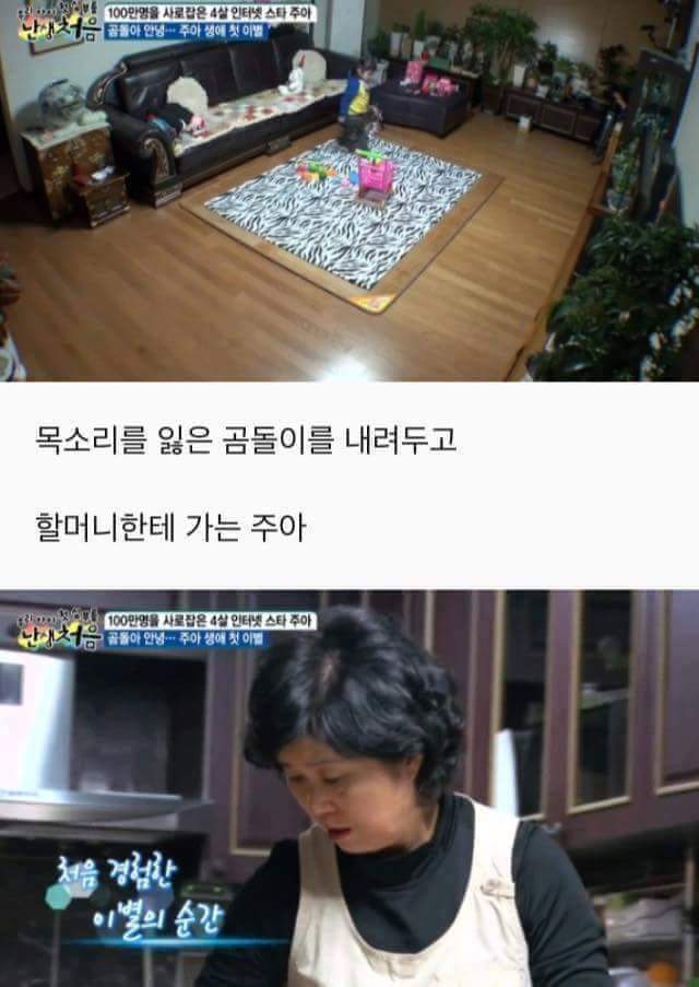 첫 이별을 경험하는 4살 아기 | 인스티즈