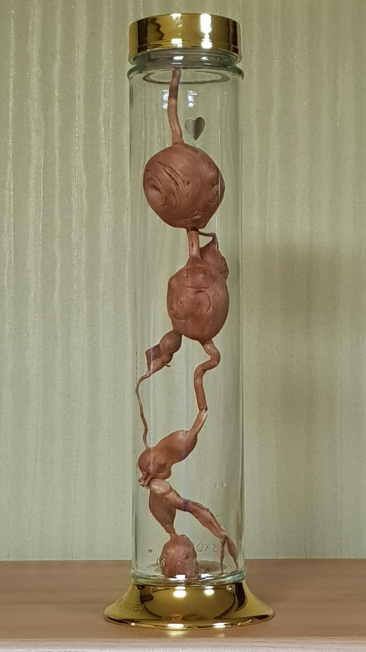 송*근 이미지