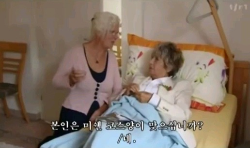 스위스의 조력자살 | 인스티즈