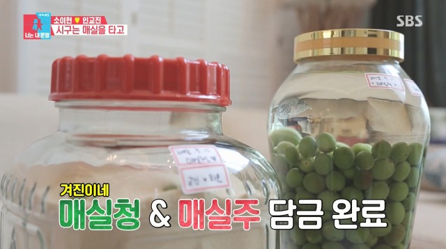 [동상이몽2] 매실주 담는게 너무 행복한 소이현 | 인스티즈