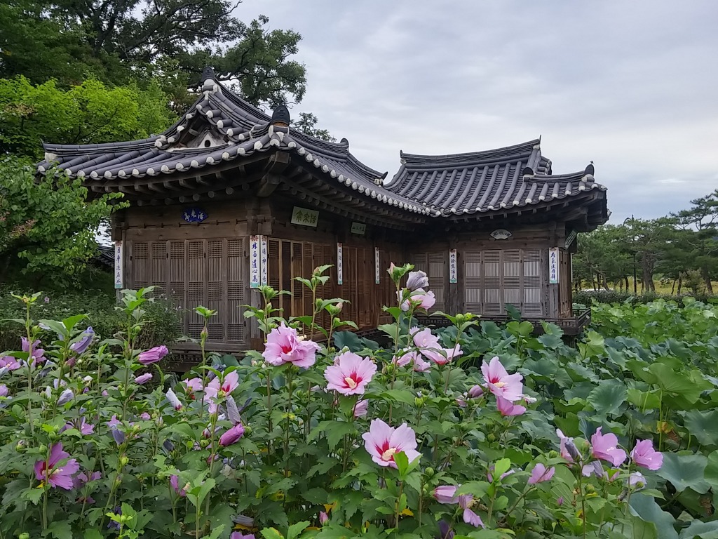 (자)신*사 이미지