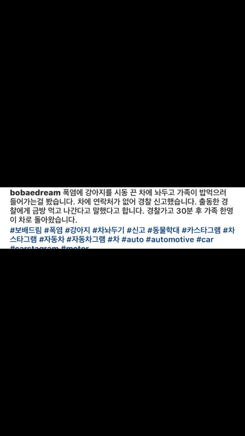 폭염 속 차안에 강아지를 두고 밥먹으러나간 가족 | 인스티즈