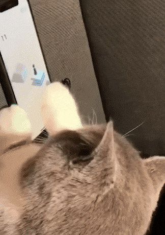 프로게이묘.gif | 인스티즈