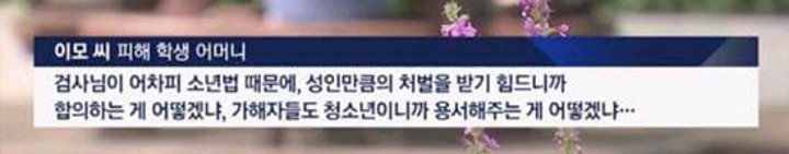 부산 중학생 폭행사건 검사가 피해자 어머니한테 합의권유 | 인스티즈