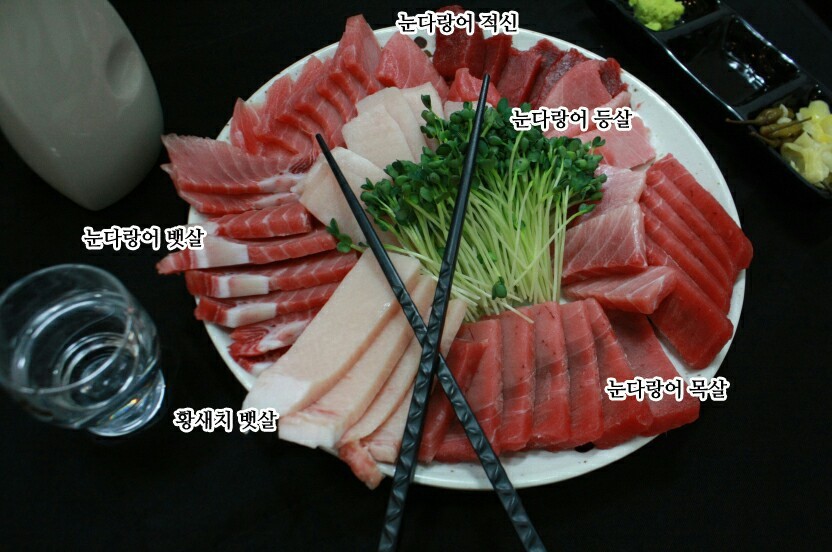 바다참치 이미지