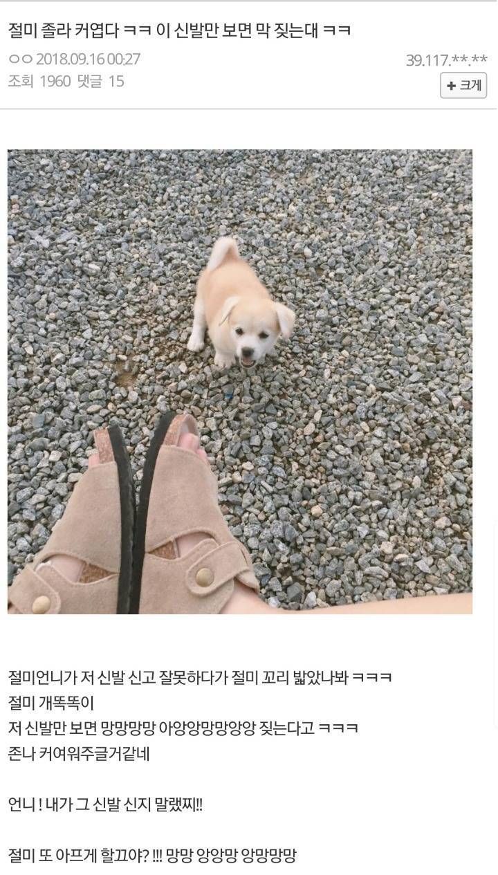 절미가 보기만 해도 짓는 물건ㅋㅋㅋㅋㅋ.jpg | 인스티즈