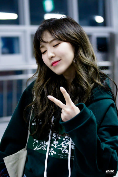 레드벨벳 메인보컬.jpgif | 인스티즈