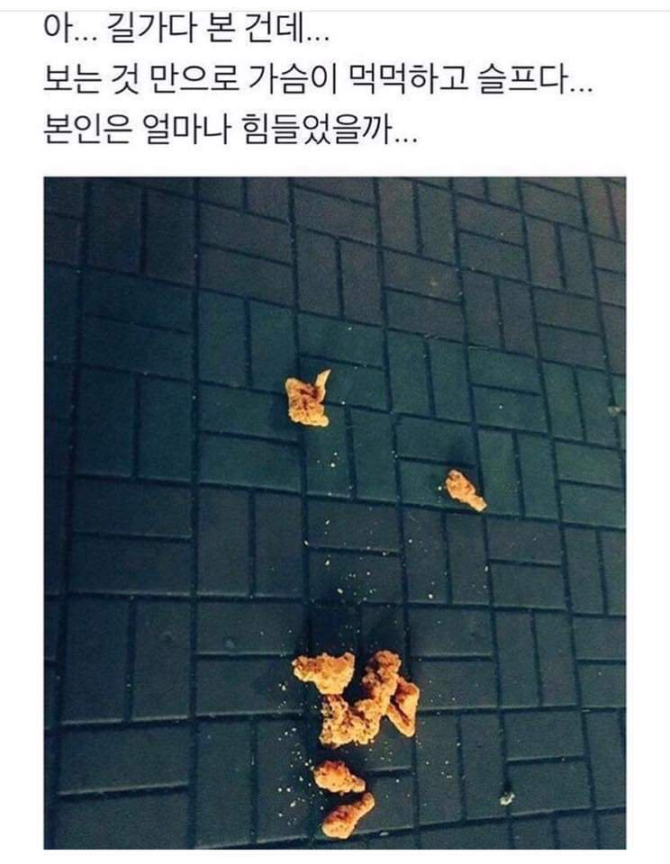 단 1장의 세상에서 가장 먹먹한 사진 | 인스티즈