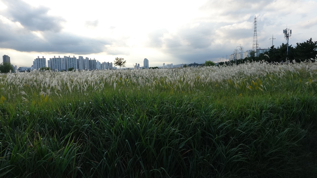태화물산 이미지