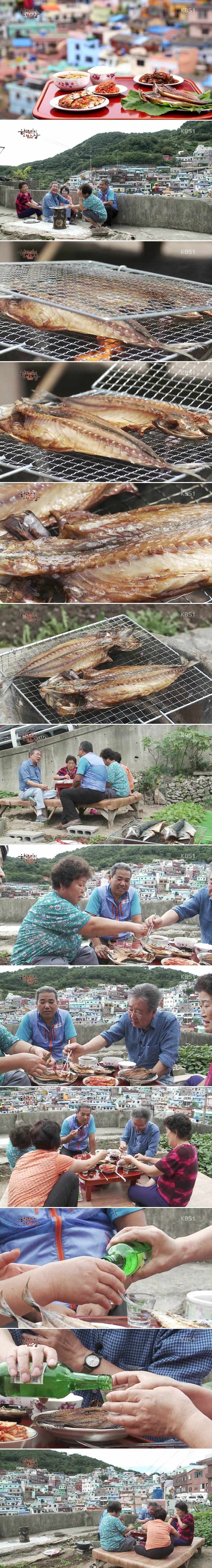 한국인의 밥상 - 고등어 | 인스티즈