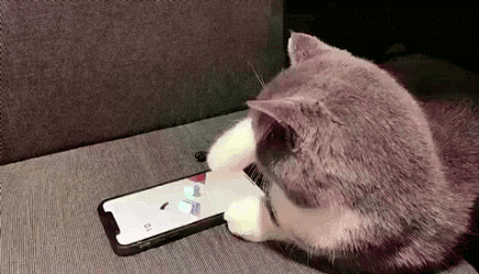 게임하냥.gif | 인스티즈
