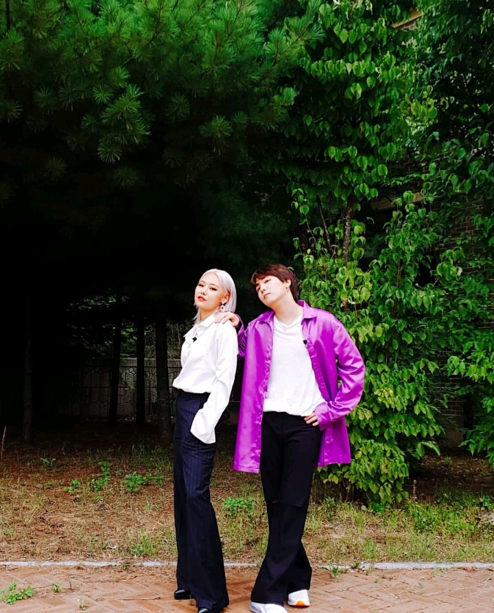 홍스 이미지