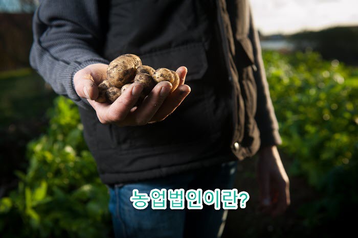 행정사법인부산 이미지