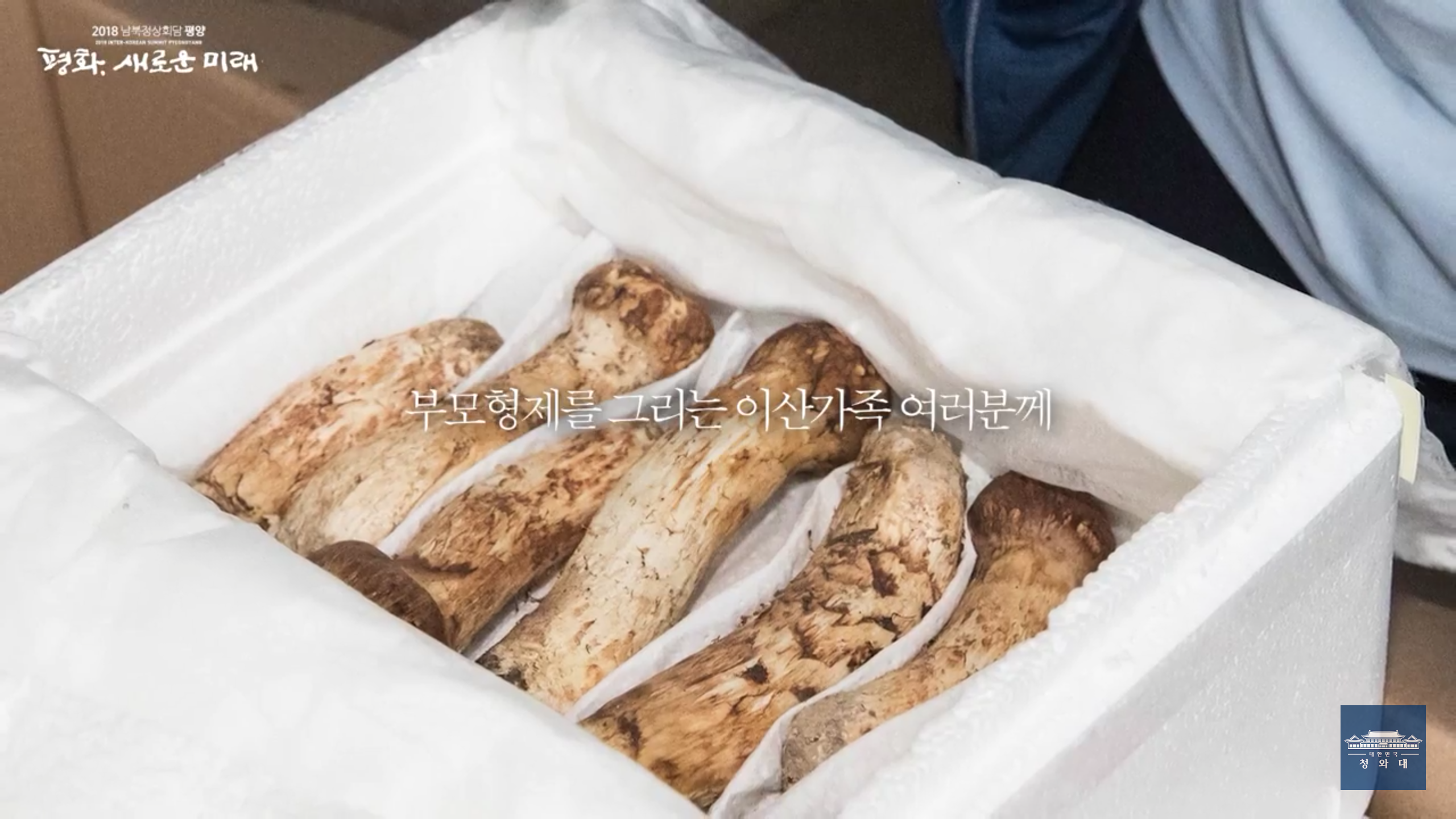 북에서 보내 온 선물 송이버섯.jpg | 인스티즈