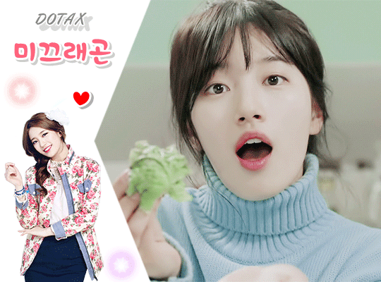 현대차가 다 해먹고 있는 체급 2개 | 인스티즈