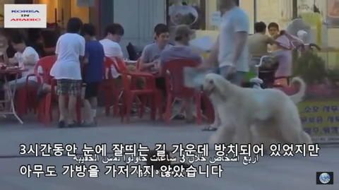 해외에서 실시한 한국의 치안 테스트 | 인스티즈